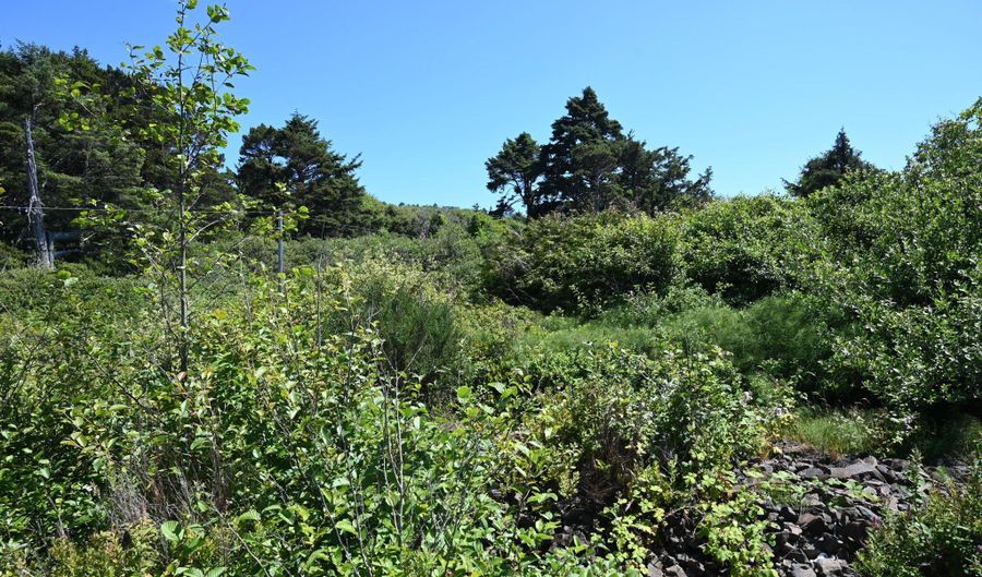 Sea View Bk 15 - Coral Street Lots 14-34, Rockaway Beach, OR 97136 - 0 Beds, 0 Bath