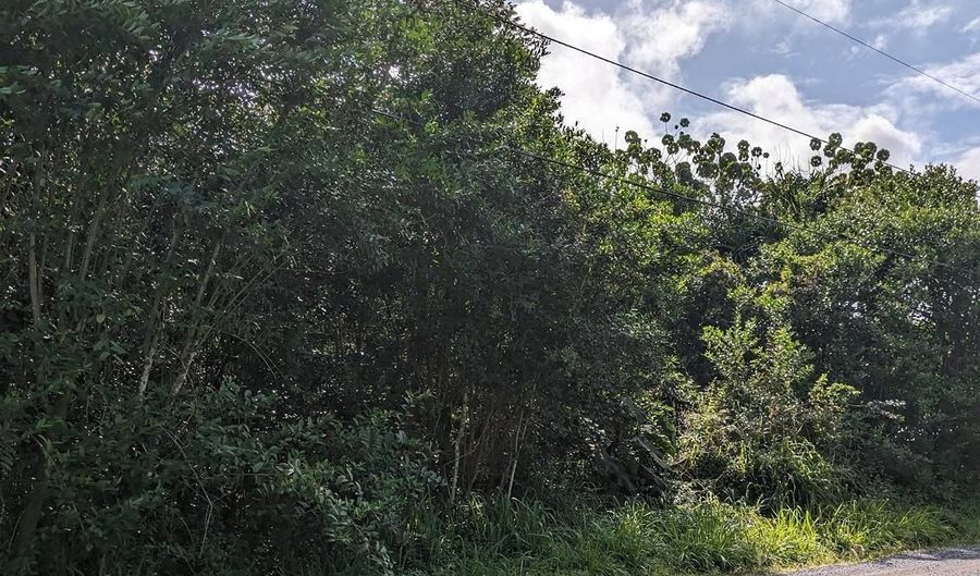 722 11TH Ave, Keaau, HI 96749 - 0 Beds, 0 Bath