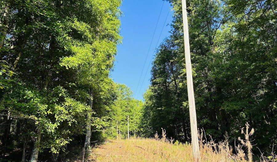 Creek Road lot 2, Ashland, AL 36251 - 0 Beds, 0 Bath