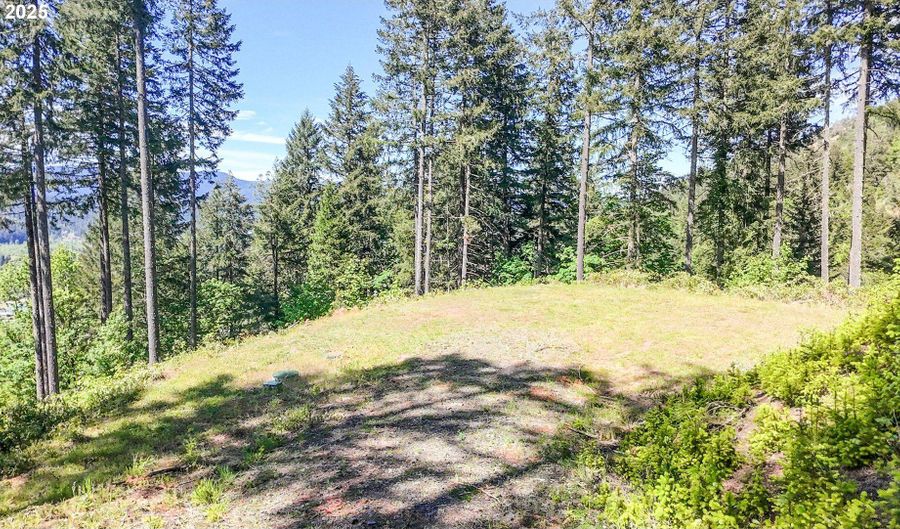 Alder Branch RD, Springfield, OR 97478 - 0 Beds, 0 Bath