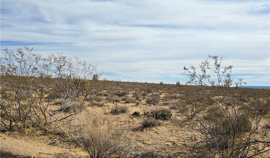320 Acres W Brittlebush Dr, Yucca, AZ 86438 - 0 Beds, 0 Bath