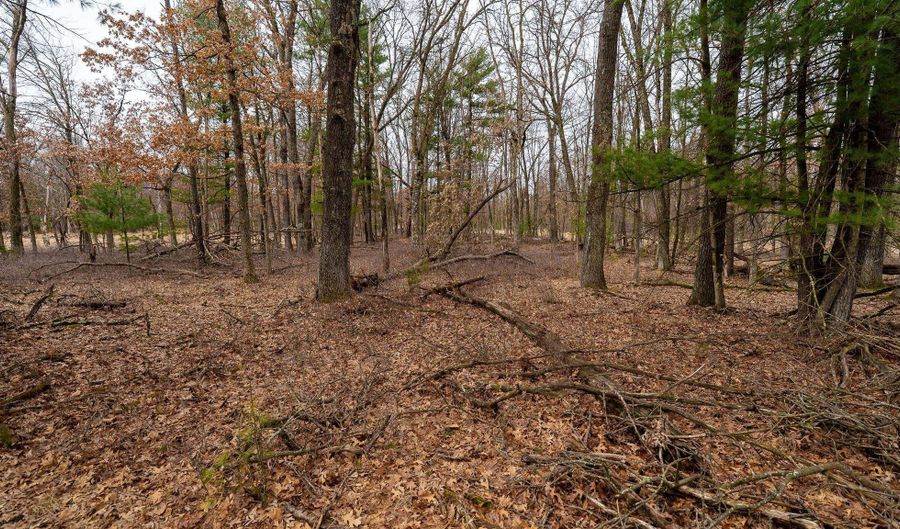 Dover Drive lot 1 14 Ac, Adams, WI 53910 - 0 Beds, 0 Bath