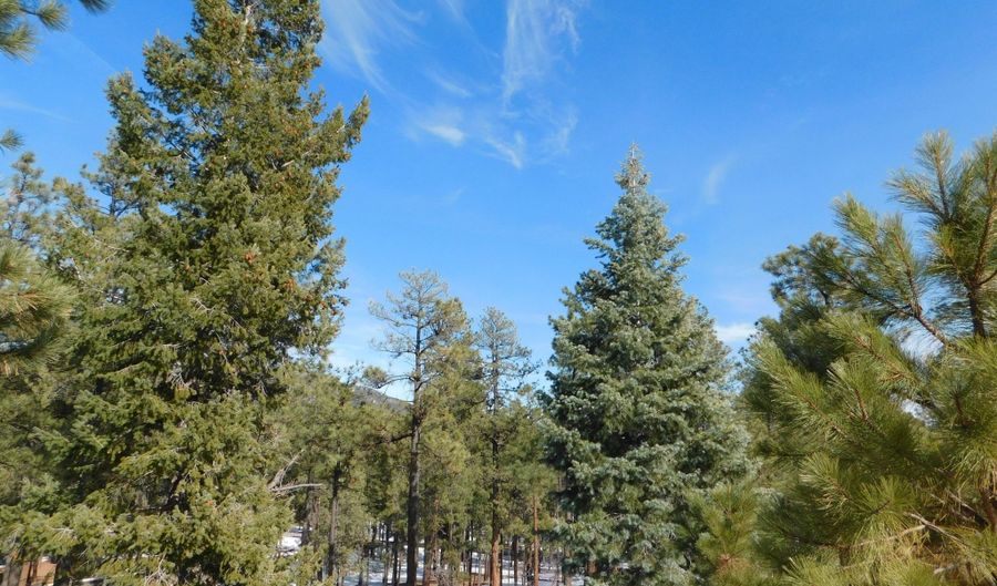 Lot 29 Eric Lane, Alpine, AZ 85920 - 0 Beds, 0 Bath
