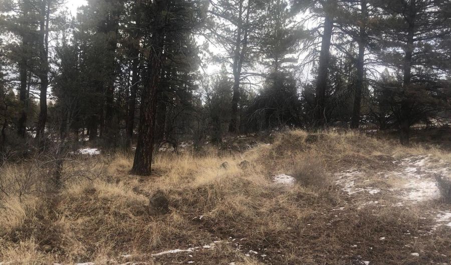 Mina Bird Drive lot 1000, Bonanza, OR 97623 - 0 Beds, 0 Bath