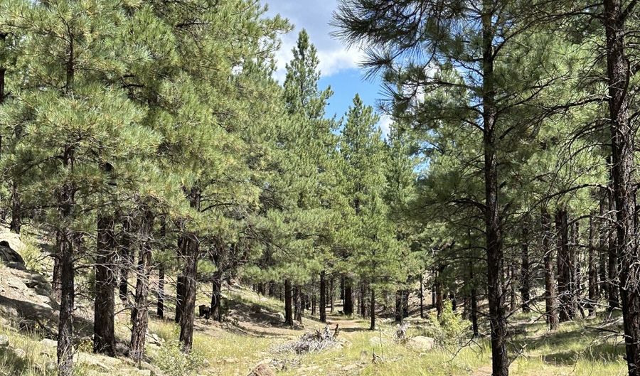 35 Wild Iris Rd, Bluewater, NM 87005 - 0 Beds, 0 Bath