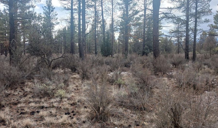 Lot 11 Block 51 Moccasin Lane, Chiloquin, OR 97624 - 0 Beds, 0 Bath