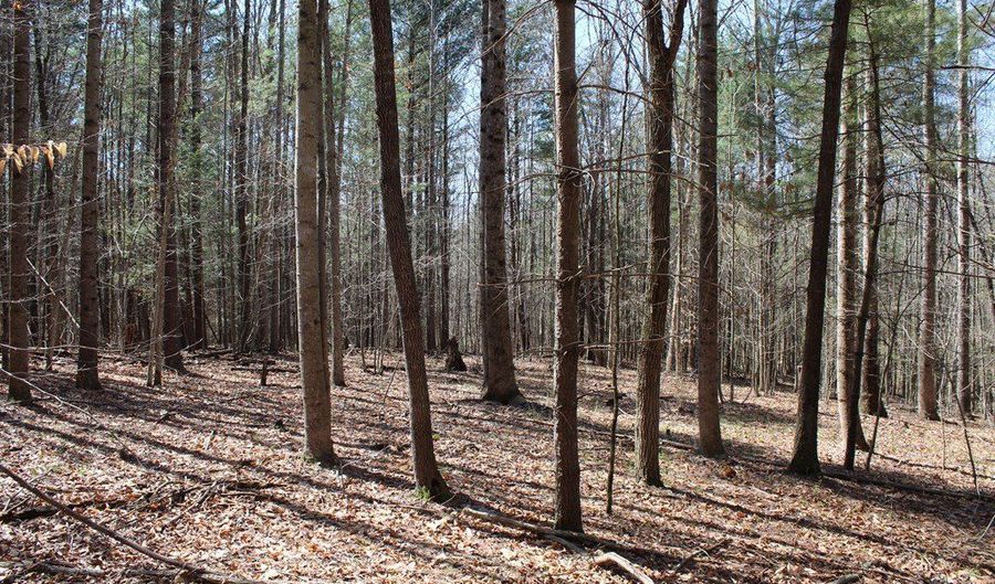 Walker's Mountain Road, Arrington, VA 22922 - 0 Beds, 0 Bath