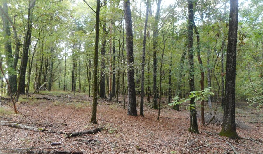 Anding Oil City Road, Bentonia, MS 39040 - 0 Beds, 0 Bath