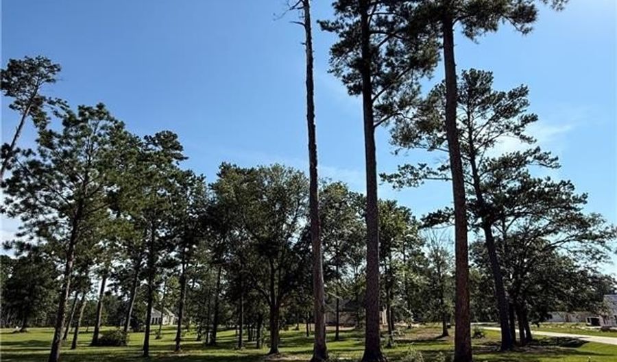 133 CHINAWOOD Dr Lot 459, Abita Springs, LA 70420 - 0 Beds, 0 Bath