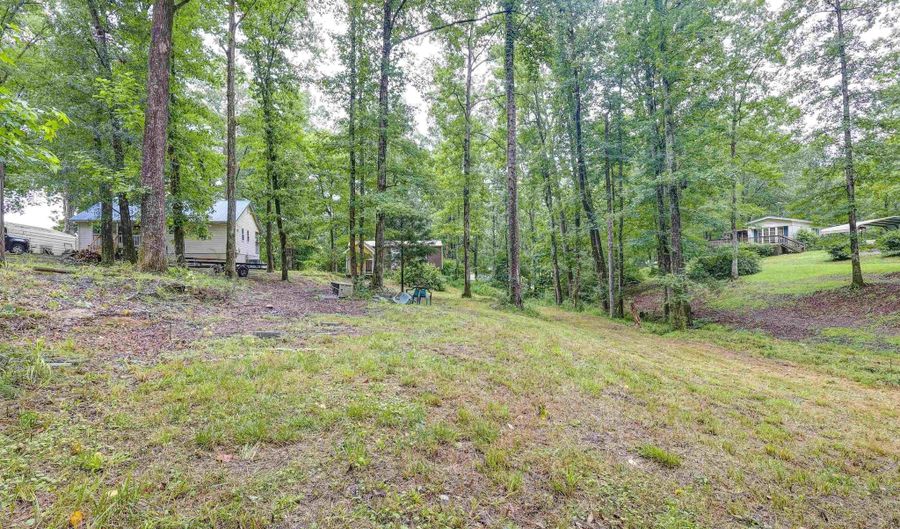 219 County Road 221, Arley, AL 35541 - 0 Beds, 0 Bath