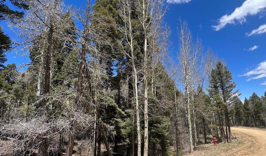 Lot 54 Vermejo Cir, Angel Fire, NM 87710 - 0 Beds, 0 Bath
