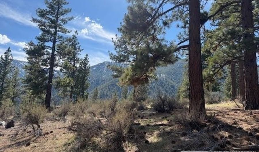 187 Duane Bliss Way Lot 42, Carson City, NV 89705 - 0 Beds, 0 Bath