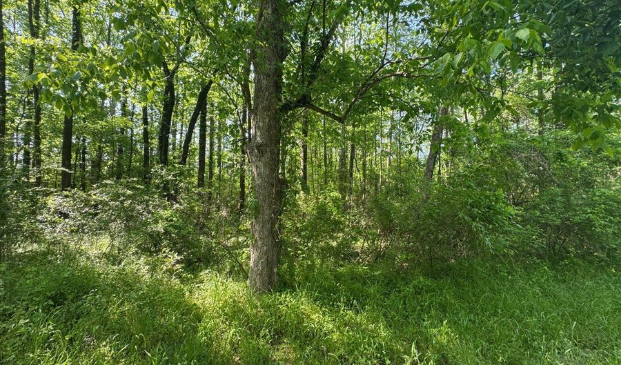 0001 Old Highway 471, Brandon, MS 39042 - 0 Beds, 0 Bath