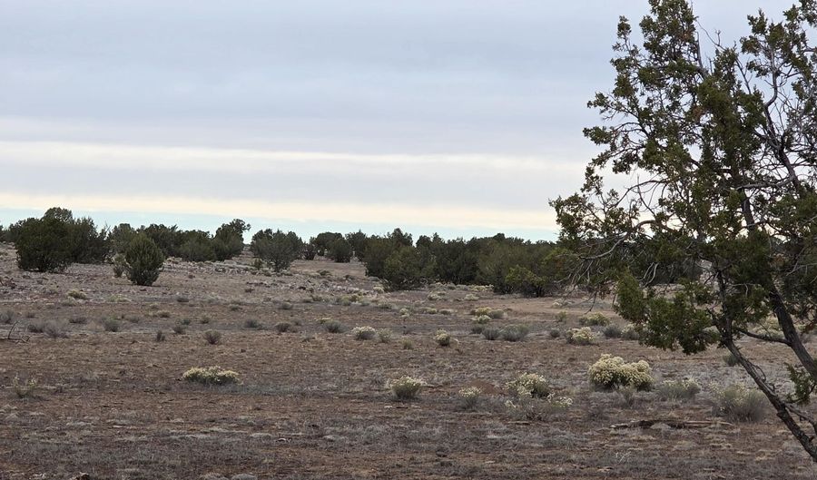 214 D Juniper Woods, Ash Fork, AZ 86320 - 0 Beds, 0 Bath