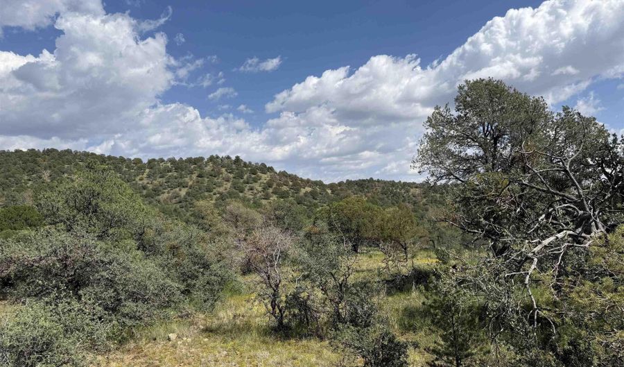 XY Black Dog Road, Silver City, NM 88061 - 0 Beds, 0 Bath