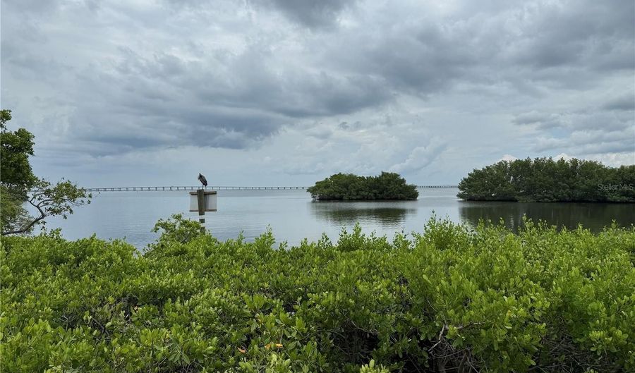 2705 VIA MURANO 117, Clearwater, FL 33764 - 1 Beds, 1 Bath