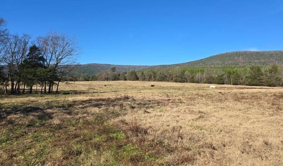 10 TBD Bates Arkansas, Bates, AR 72958 - 0 Beds, 0 Bath