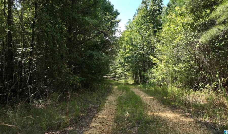 00 DOUGLAS Rd 4, Beaverton, AL 35544 - 0 Beds, 0 Bath