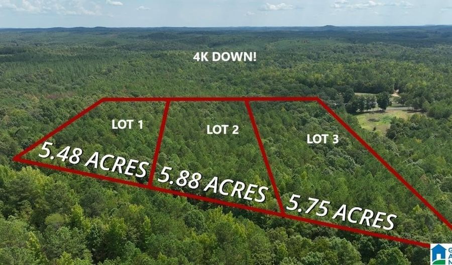 00 DOUGLAS Rd 4, Beaverton, AL 35544 - 0 Beds, 0 Bath