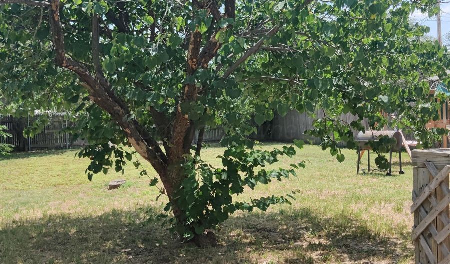 3817 S VAN BUREN St, Amarillo, TX 79110 - 2 Beds, 1 Bath