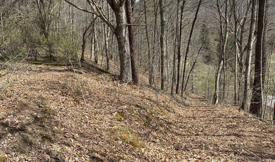 161 Daniels Rd Lot 0, Bandy, VA 24602 - 0 Beds, 0 Bath