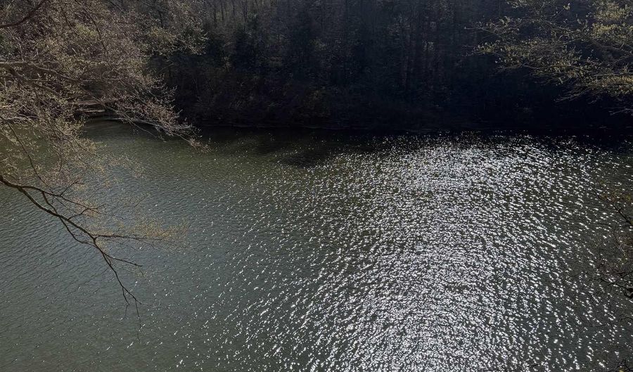 County Road 3782 lot 11, Arley, AL 35541 - 0 Beds, 0 Bath