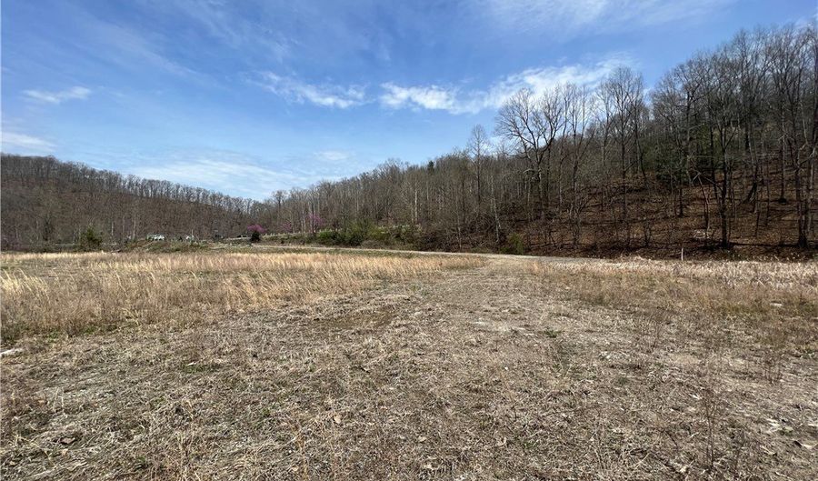 Little Coal River Road, Alum Creek, WV 25501 - 0 Beds, 0 Bath