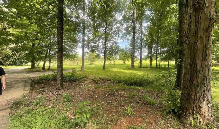 995 Mckee Rd, Toney, AL 35773 - 3 Beds, 2 Bath