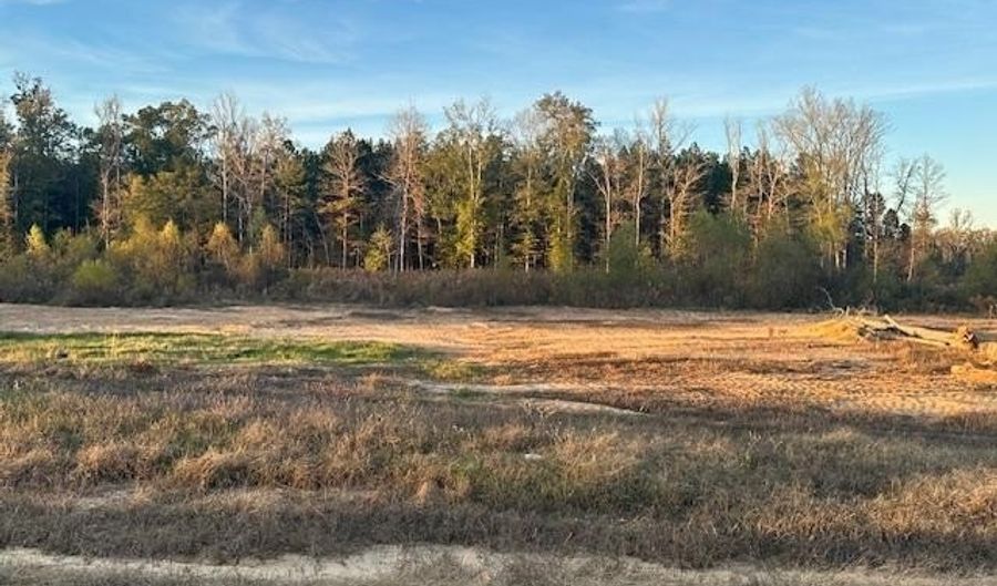 1152 Duke Dr, Bauxite, AR 72011 - 0 Beds, 0 Bath