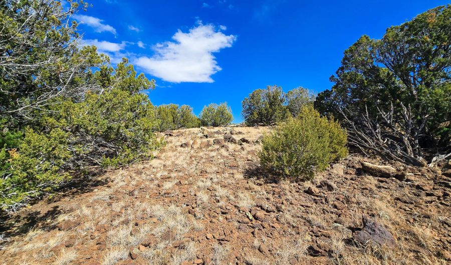 Show Low Pines Unit 3 lot 468, Concho, AZ 85924 - 0 Beds, 0 Bath