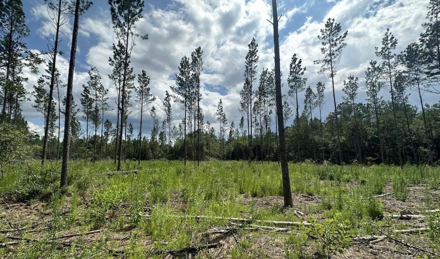 Parcel A Yellow River Baptist Church Road 22 Ac+/-, Baker, FL 32531 - 0 Beds, 0 Bath