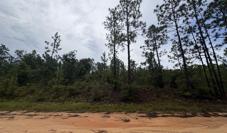 Odum Street lot 29, Alford, FL 32420 - 0 Beds, 0 Bath