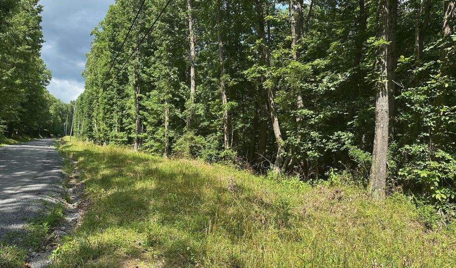 Rt. 1 Muddy Creek Mountain, Alderson, WV 24910 - 0 Beds, 0 Bath