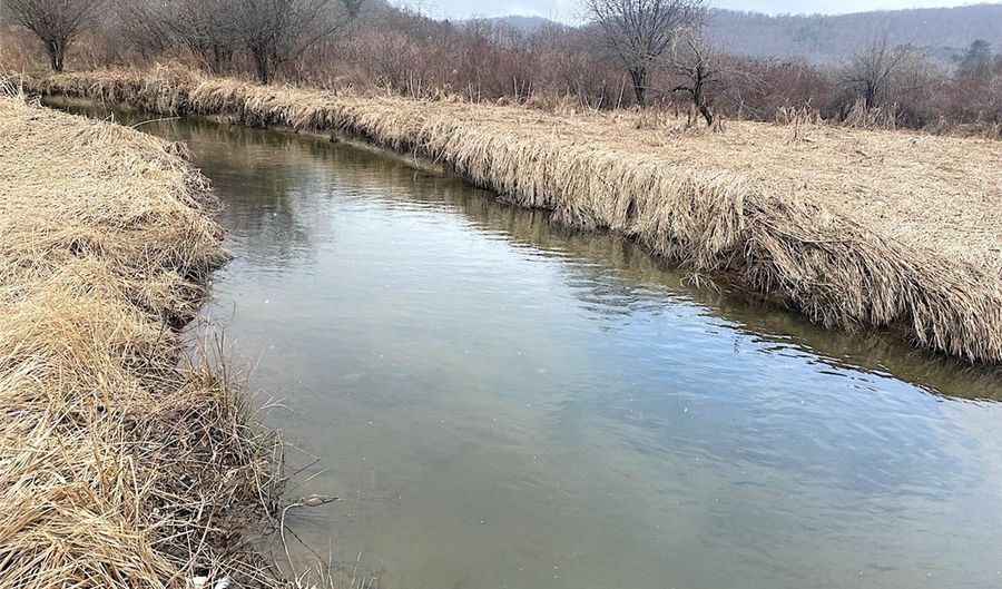 Cr-38, Alma, NY 14708 - 0 Beds, 0 Bath