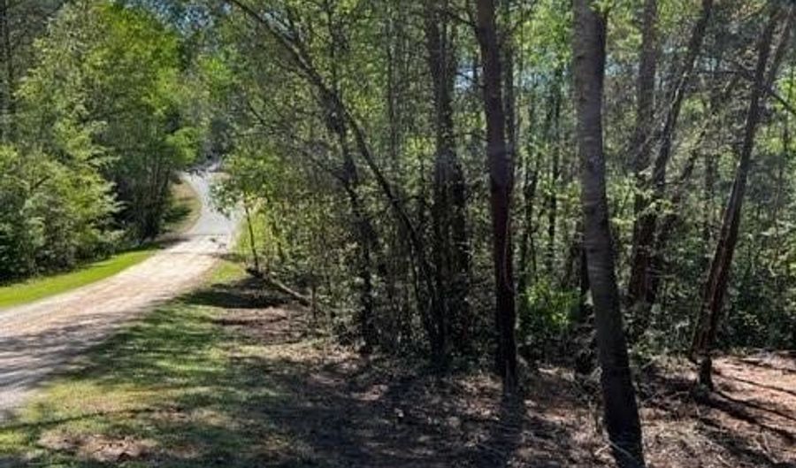 Lot 4a Tabor Ramp Road, Westminster, SC 29693 - 0 Beds, 0 Bath