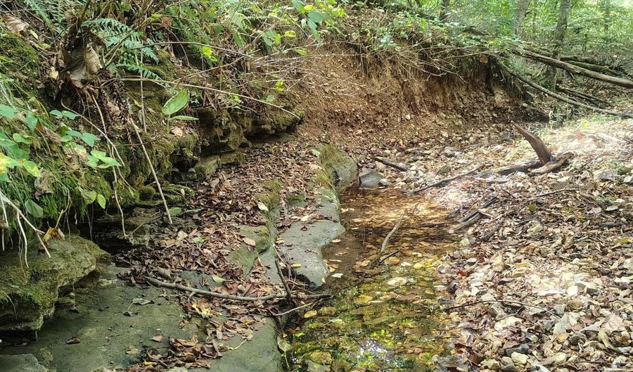 Farm Road 1245, Aurora, MO 65605 - 0 Beds, 0 Bath