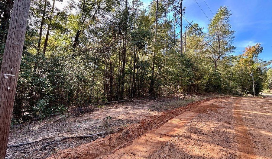 Lakeview Drive, Abbeville, AL 36310 - 0 Beds, 0 Bath