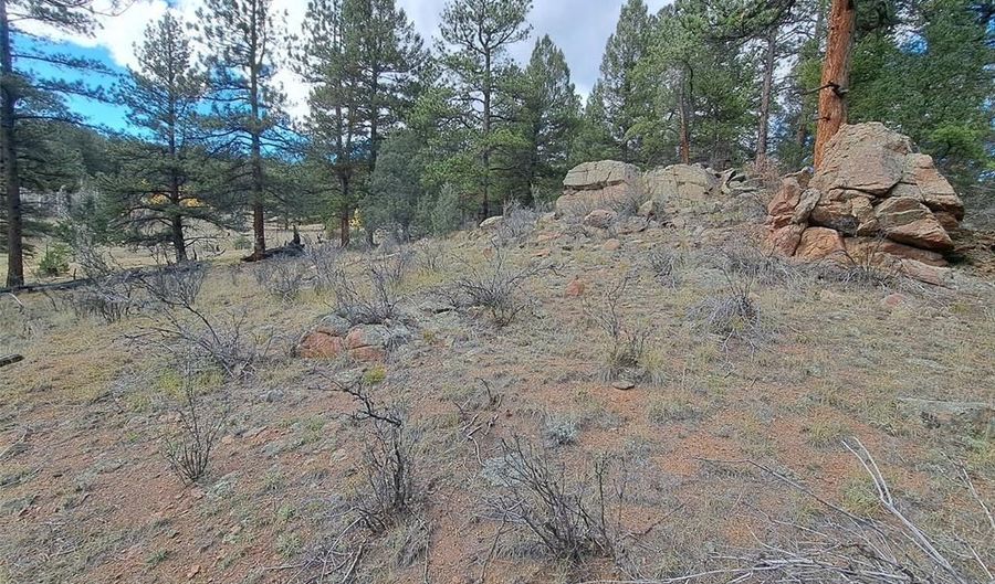 1077 ROLAND Dr, Bailey, CO 80421 - 0 Beds, 0 Bath