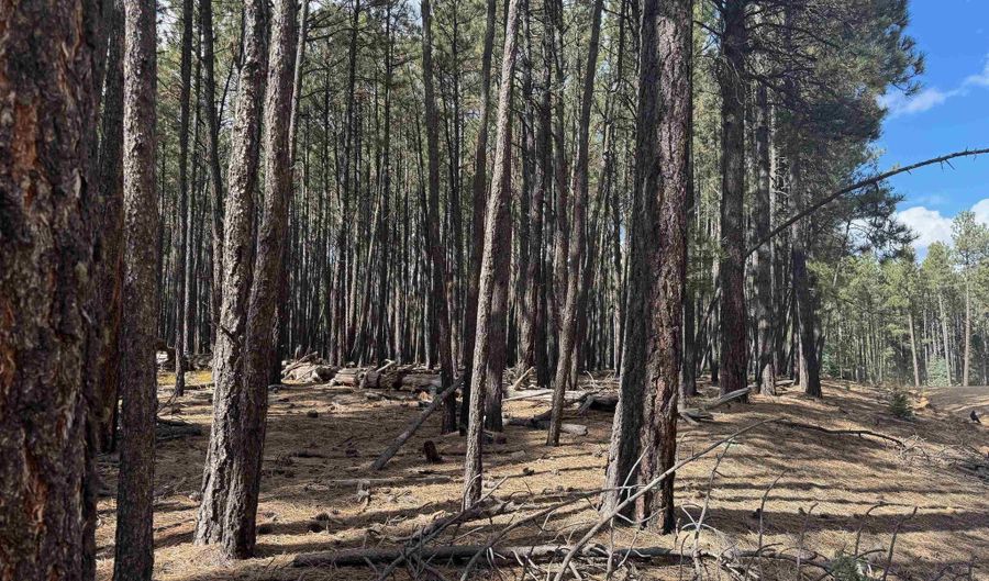 Alamosa Terrace lot 929, Angel Fire, NM 87710 - 0 Beds, 0 Bath