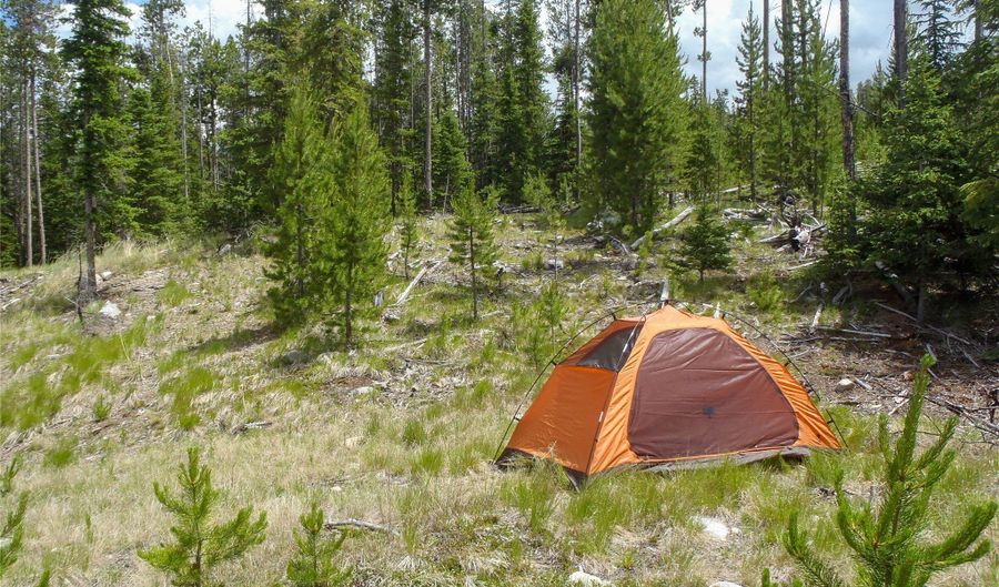 NHN Herring Flats Road, Anaconda, MT 59711 - 0 Beds, 0 Bath