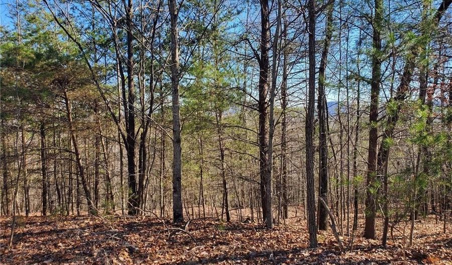 Lot 6 Sweetwater Road, Boomer, NC 28654 - 0 Beds, 0 Bath