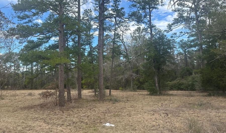 K-57 Hwy 94, Apple Springs, TX 75926 - 0 Beds, 0 Bath