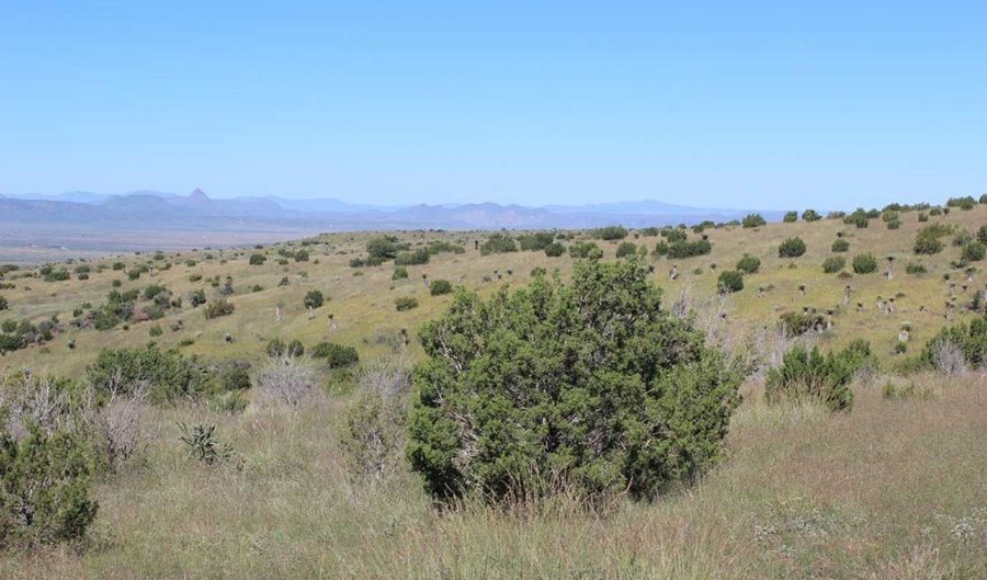 Tract 56 Sierra La Rana, Alpine, TX 79830 - 0 Beds, 0 Bath
