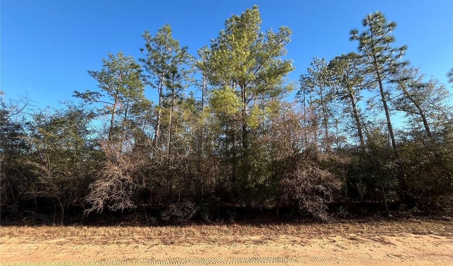 Goreville Avenue, Alford, FL 32420 - 0 Beds, 0 Bath