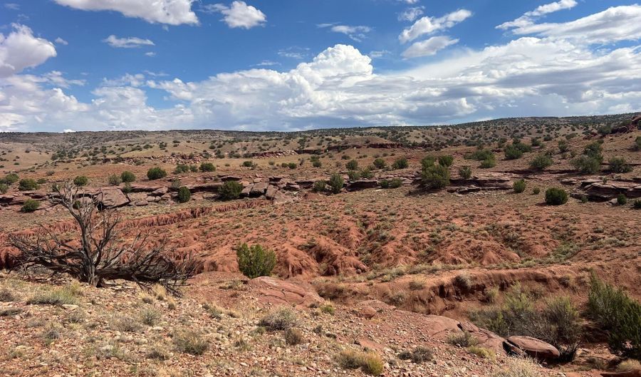 N5158, Concho, AZ 85924 - 0 Beds, 0 Bath