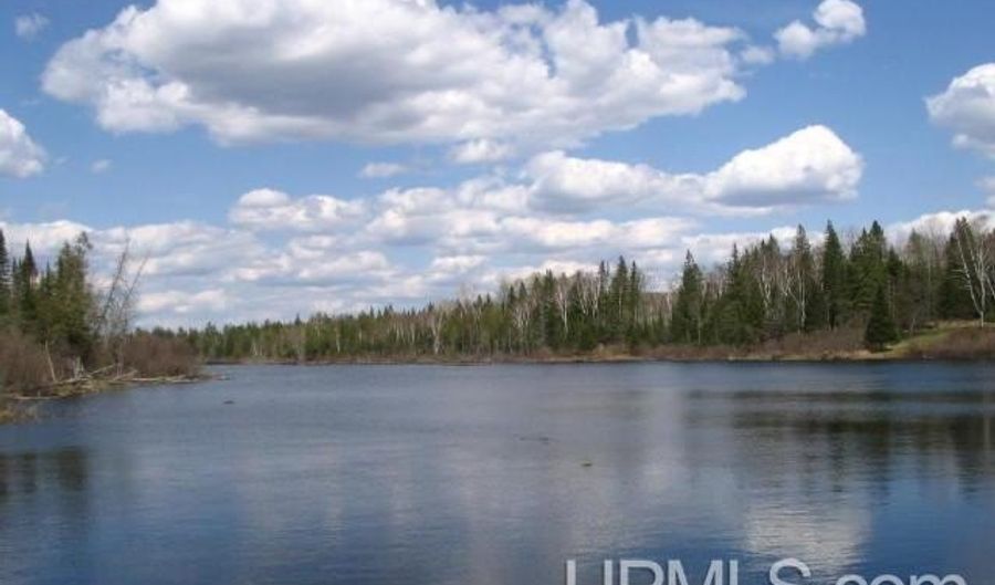 33 Acres Off Net Riv, Amasa, MI 49903 - 0 Beds, 0 Bath