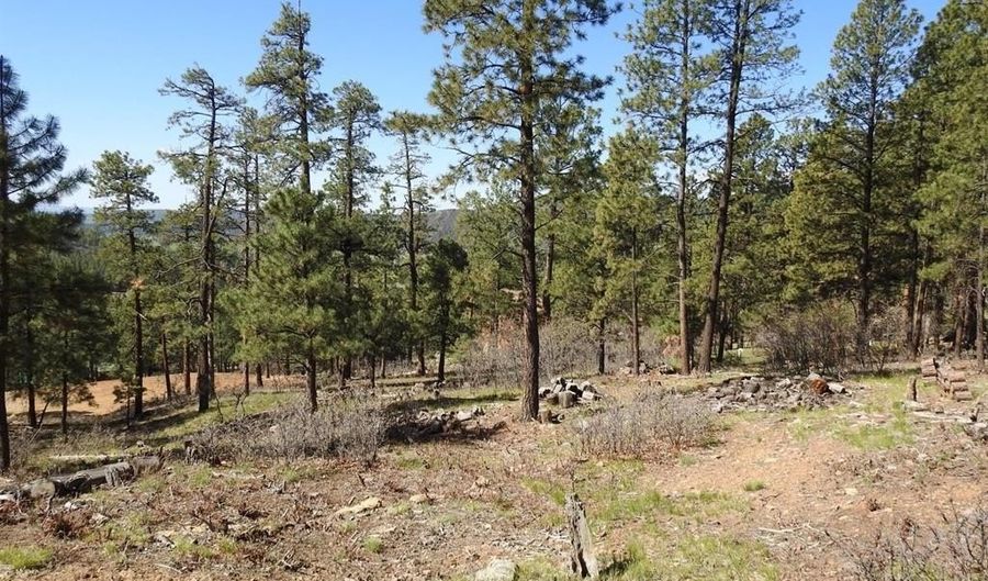 1142 Deer Ridge Dr, Bayfield, CO 81122 - 0 Beds, 0 Bath