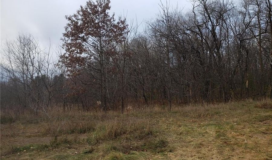 Lot 2 & 3 County Road M / 202nd St, Alden, WI 54026 - 0 Beds, 0 Bath