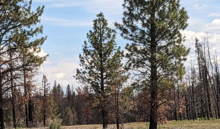 Bull Pine Road, Bly, OR 97622 - 0 Beds, 0 Bath