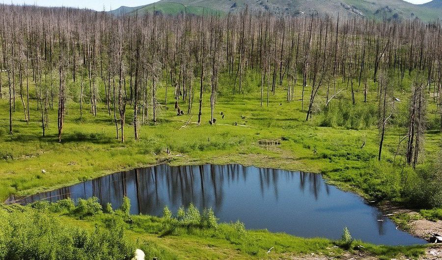 2493 Greer Rd, Bellvue, CO 80512 - 0 Beds, 0 Bath